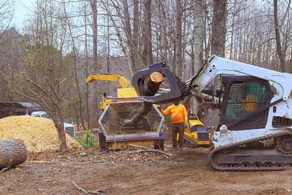Tree stump completely removed and ground down in Cuyahoga Falls, OH, residential yard