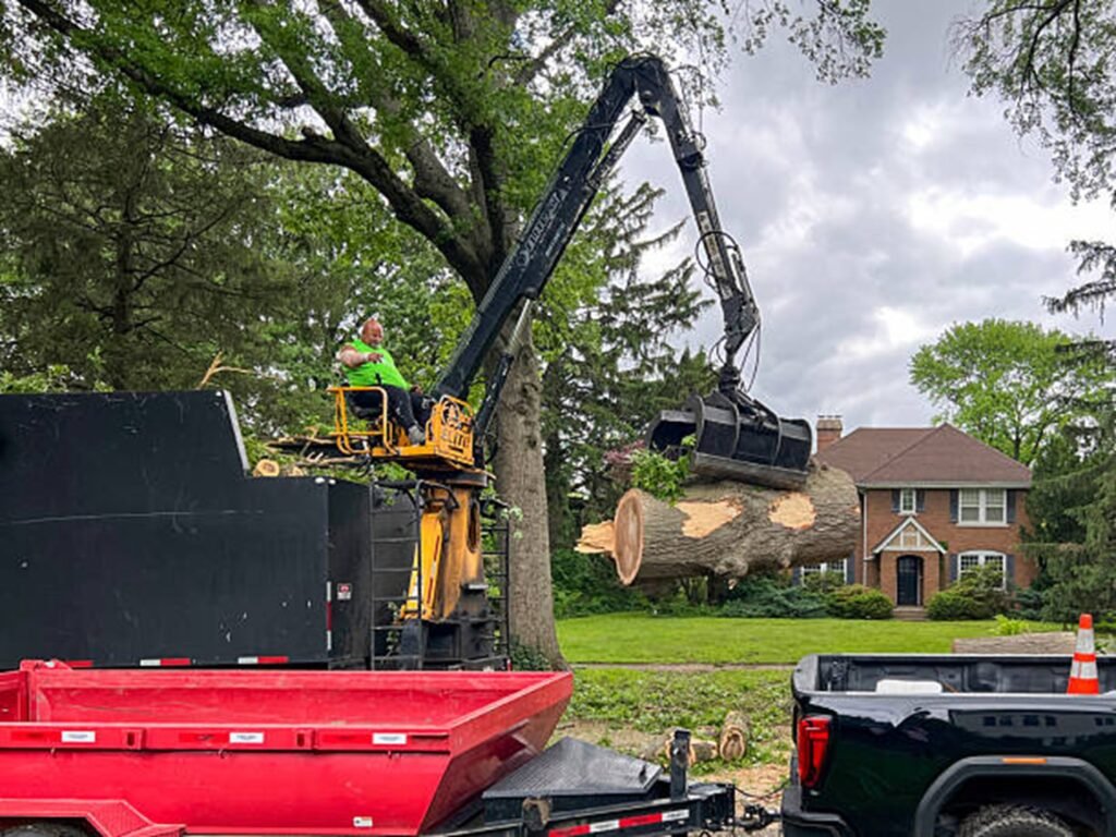 Crane removing a large tree trunk safely from a residential property in Cuyahoga Falls, OH