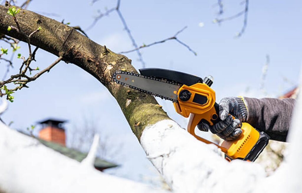 Tree trimming service cutting branches with a chainsaw to improve safety and tree health in Cuyahoga Falls, OH