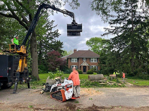Tree service crew using a crane and equipment to remove large branches during tree trimming in Cuyahoga Falls, OH