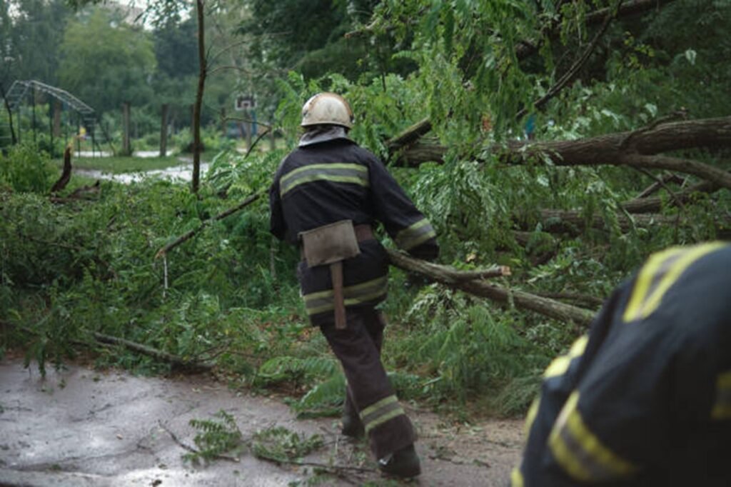 Tree service worker clearing storm debris and fallen branches from the roadway in Cuyahoga Falls, OH