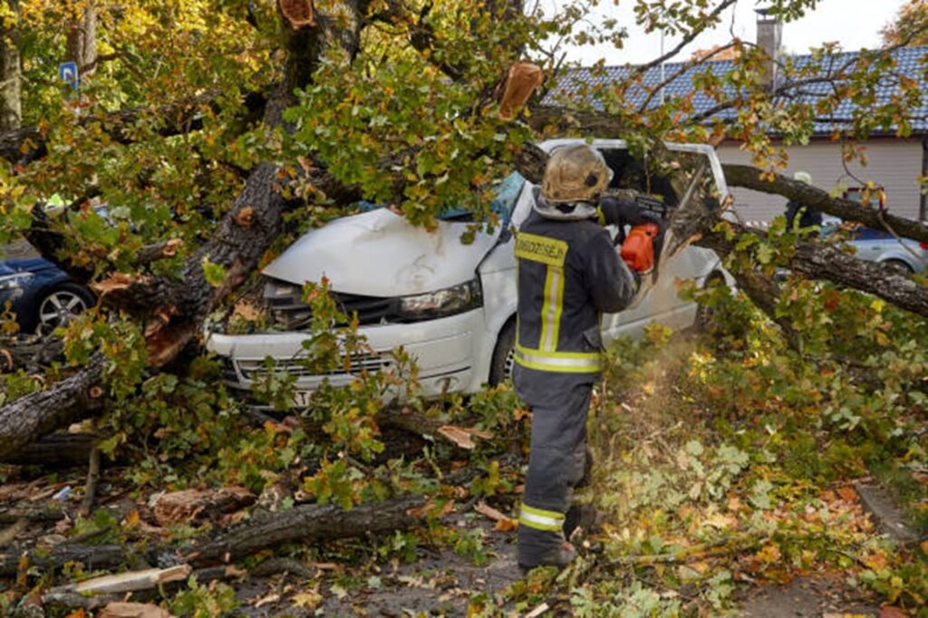 Emergency tree removal crew clearing fallen tree from damaged vehicle after storm in Cuyahoga Falls, OH