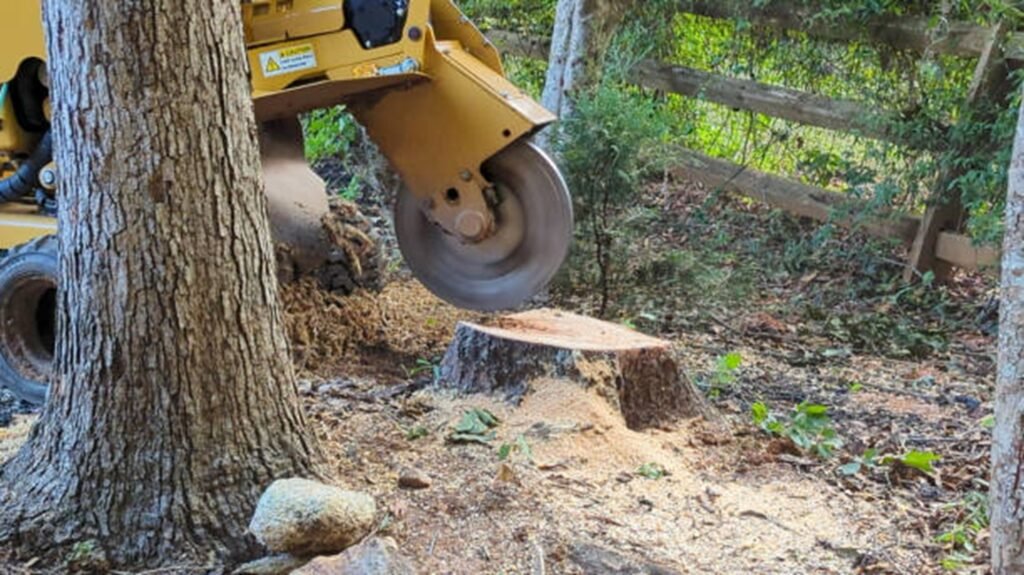 Stump grinding machine removing tree stump and debris in residential yard in Lyndhurst, OH