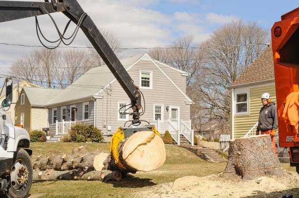 Crane lifting a heavy tree trunk during emergency tree removal service in Cuyahoga Falls, OH