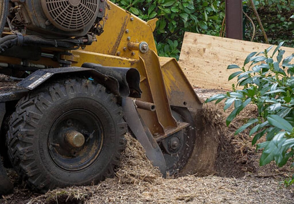 Professional stump grinding equipment removing a tree stump in Cuyahoga Falls, OH