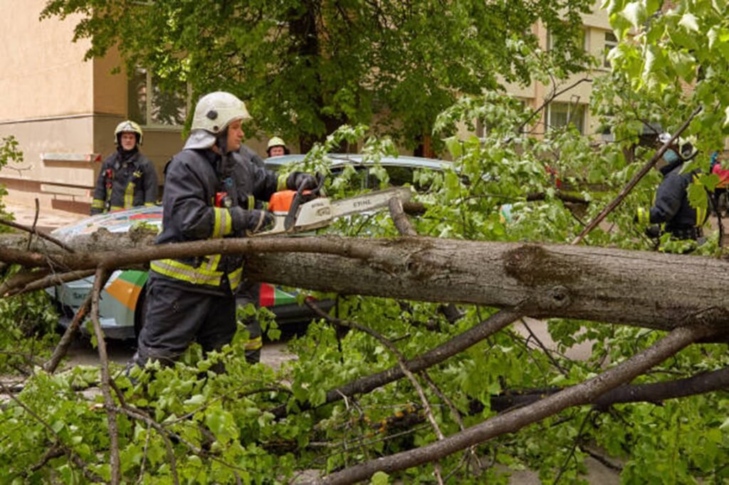 Emergency tree removal crew handling fallen tree and hazardous branches in Cuyahoga Falls, OH