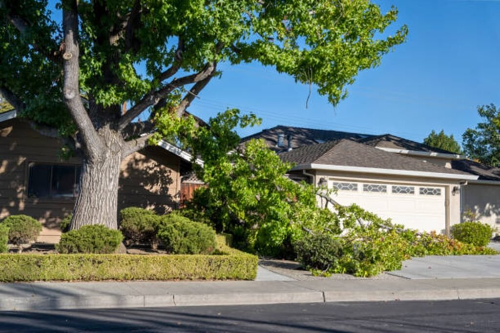 Fallen tree blocking driveway and damaging property during storm cleanup in Cuyahoga Falls, OH