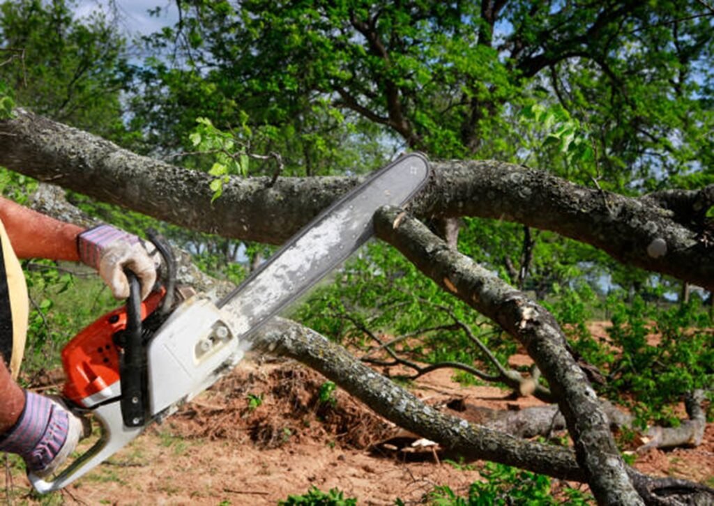 Large tree safely removed from residential property in Cuyahoga Falls, OH by professional tree service crew